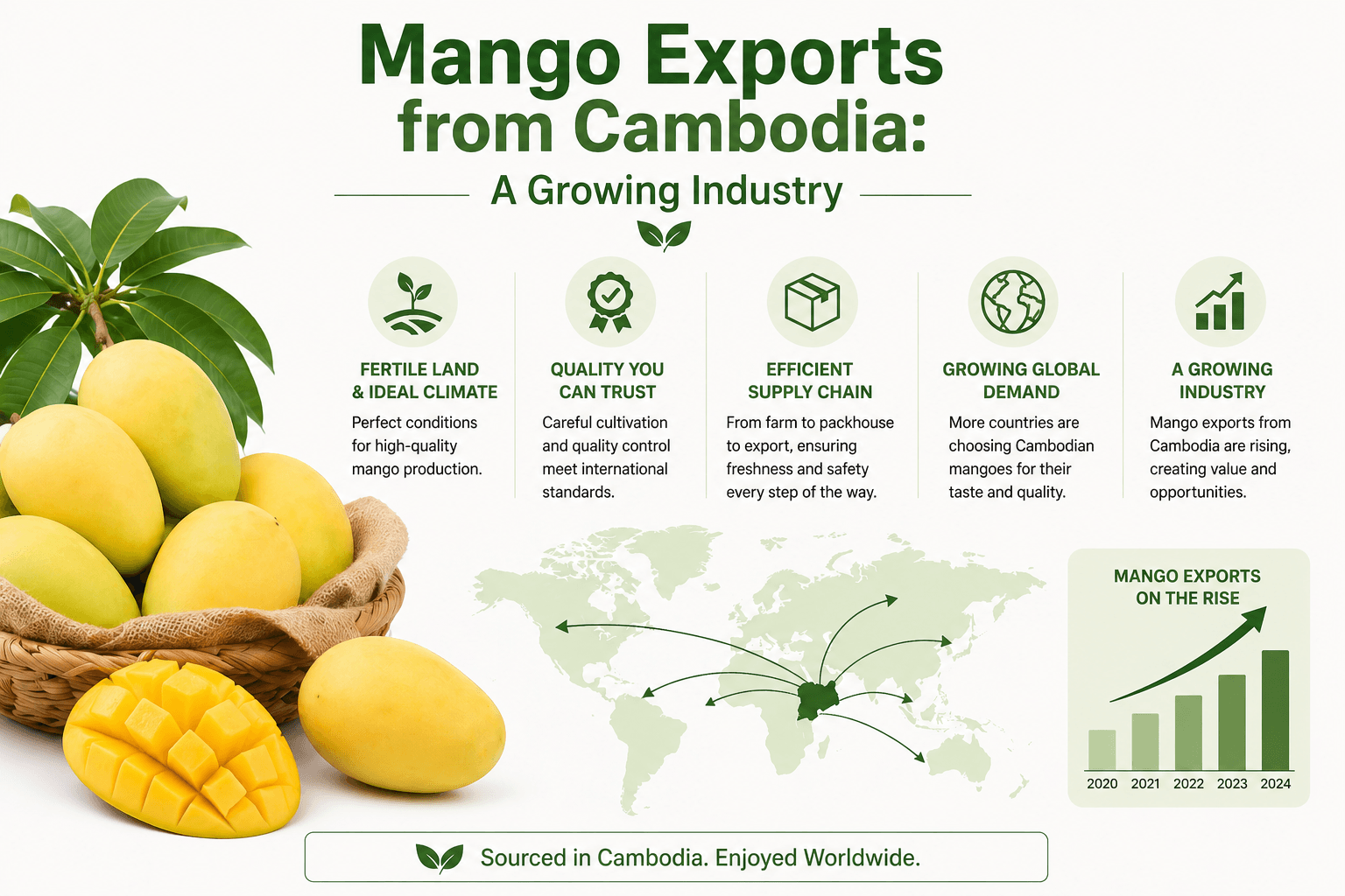 Cambodian Mango Exports